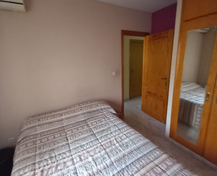 WhatsApp Image 2024-10-15 at 17.46.30 (5)