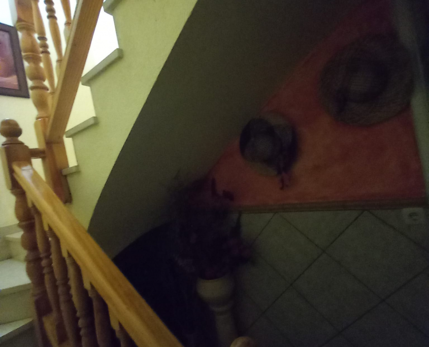 WhatsApp Image 2024-10-15 at 17.46.31 (1)