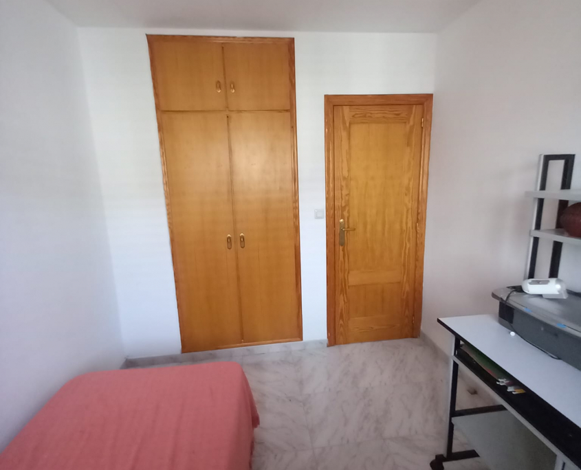 WhatsApp Image 2024-10-15 at 17.46.32 (1)